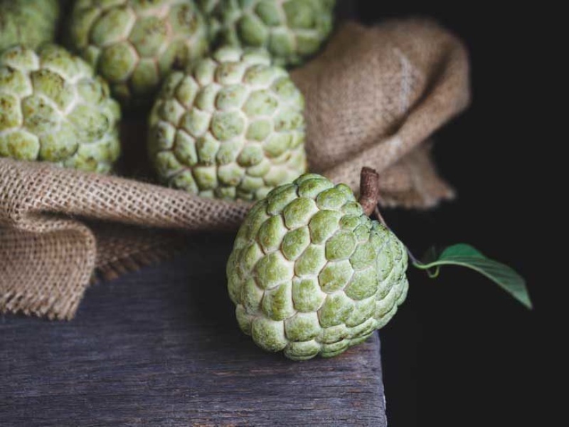 cherimoya 732x549 thumbnail - 10 Strange And Exotic Fruits In Vietnam