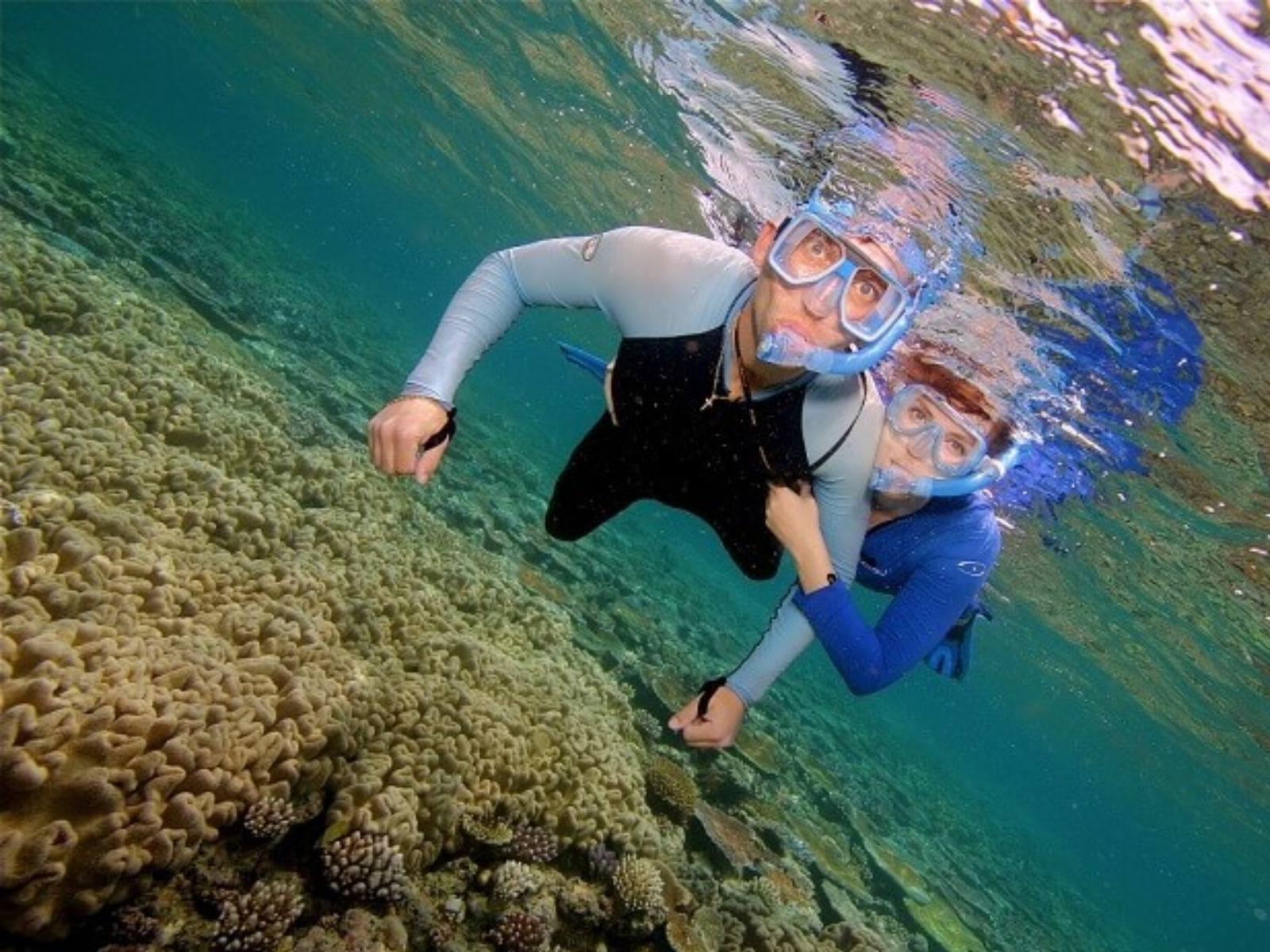 Snorkel At Lan Ha Bay - Things To Do In Halong Bay