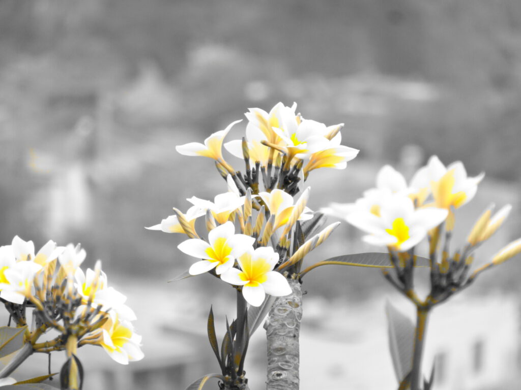 marber mountain da nang