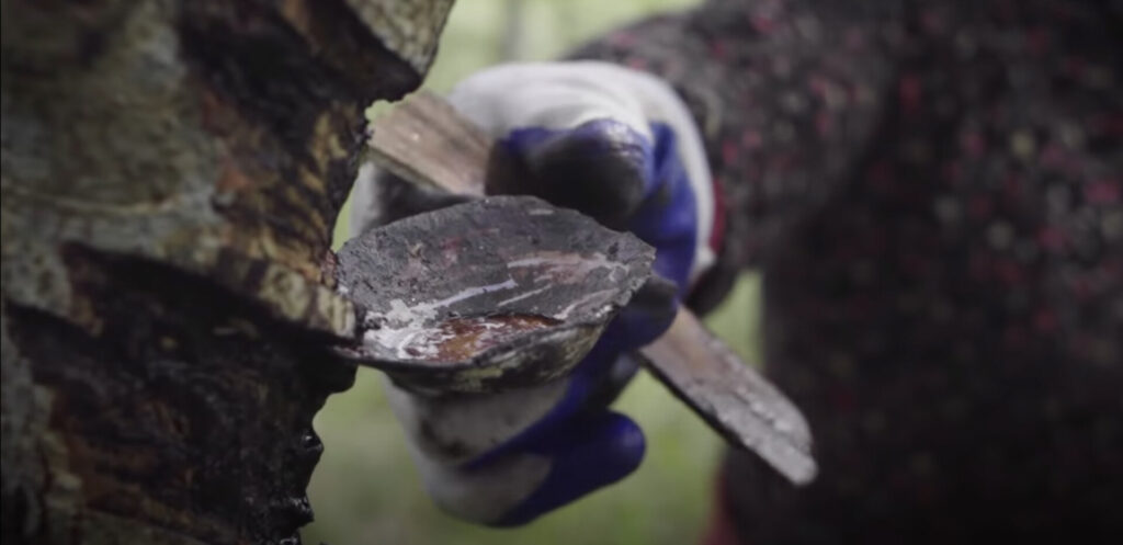 worker collecting toxic lacquer