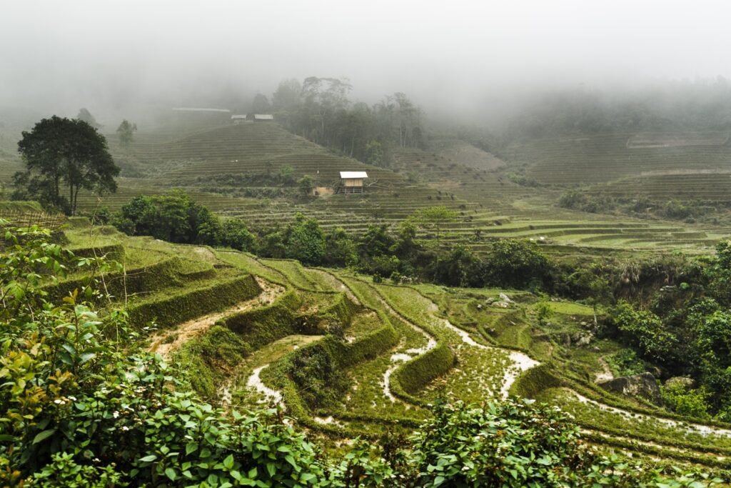 20170427 094832 D5A9462 2 - Exploring The North: 7 Captivating National Parks In Vietnam