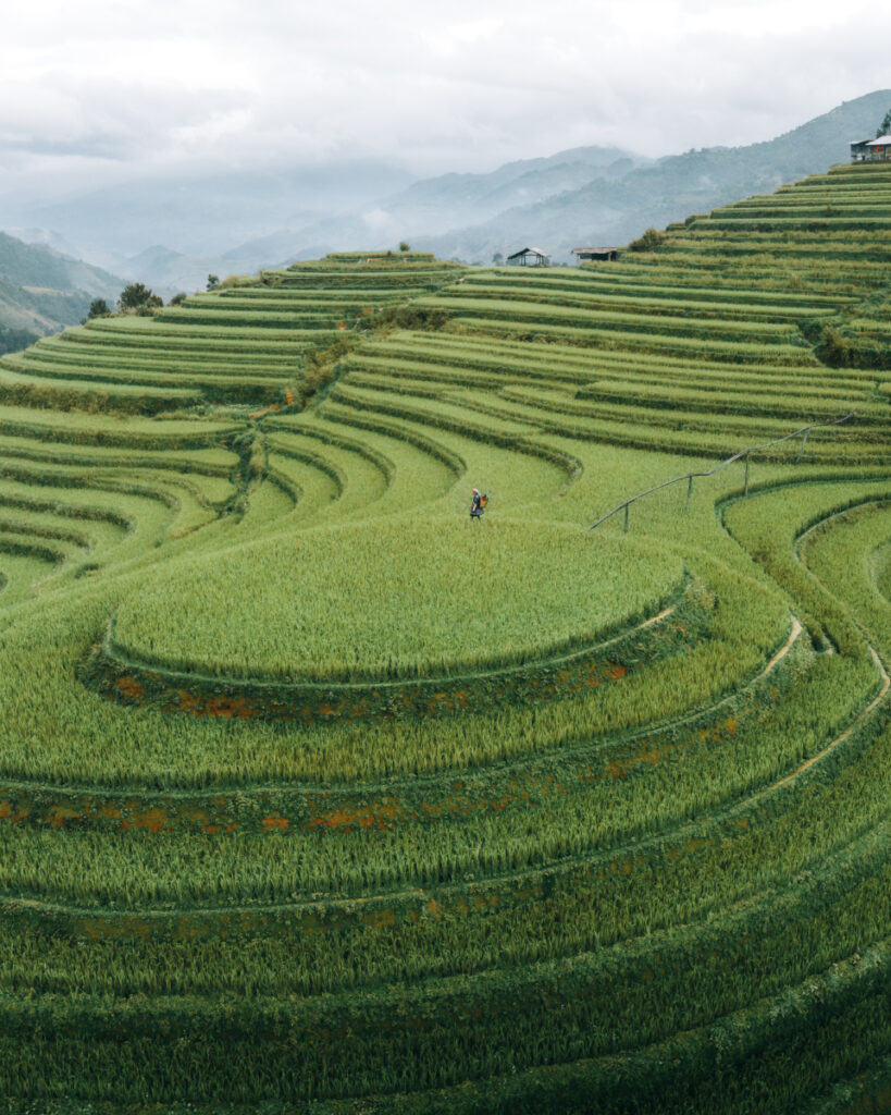 mu cang chai