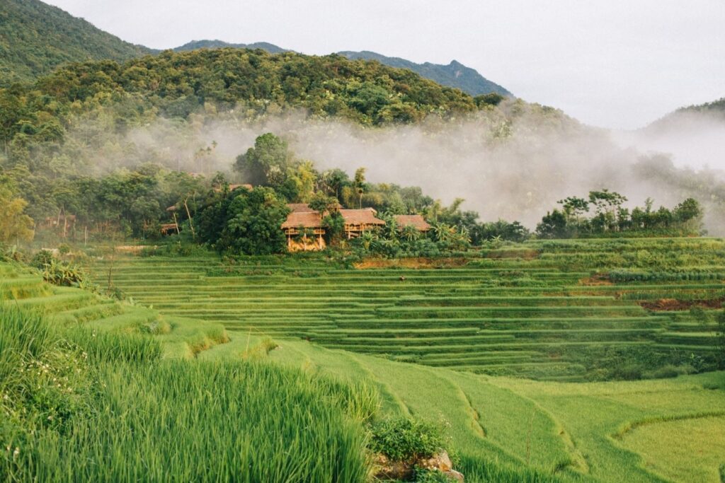 bcf8a10e 7de5 4425 8bf5 f4ec4045b9ce - Exploring The North: 7 Captivating National Parks In Vietnam