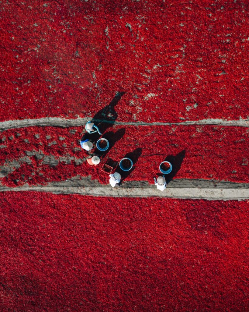 Central Vietnam Guide: 7 Must-Visit Destinations Await! 19 ben11 - Central Vietnam Guide: 7 Must-Visit Destinations Await!