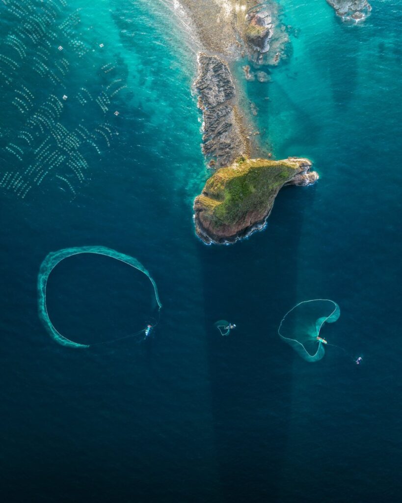 Benjamin Tortorelli 11 ben2 - Benjamin Tortorelli