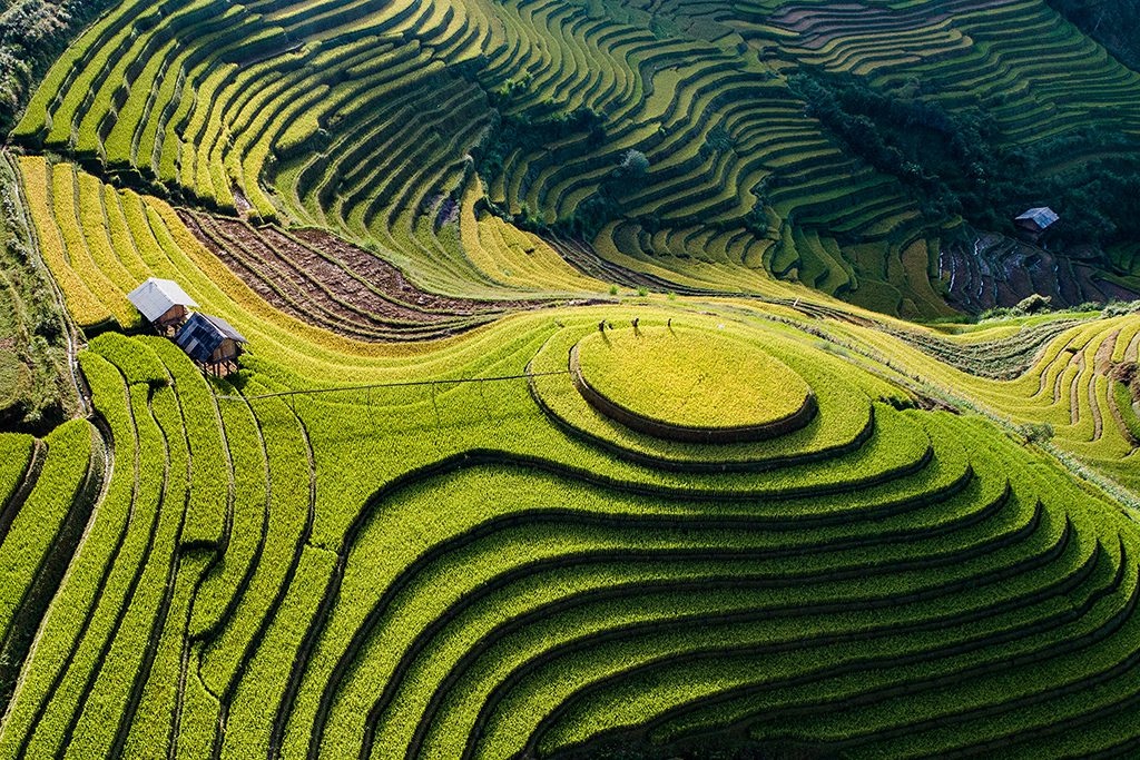 c24008a6 6edc 49da b5d7 3a7d9131b5aa - Exploring The North: 7 Captivating National Parks In Vietnam