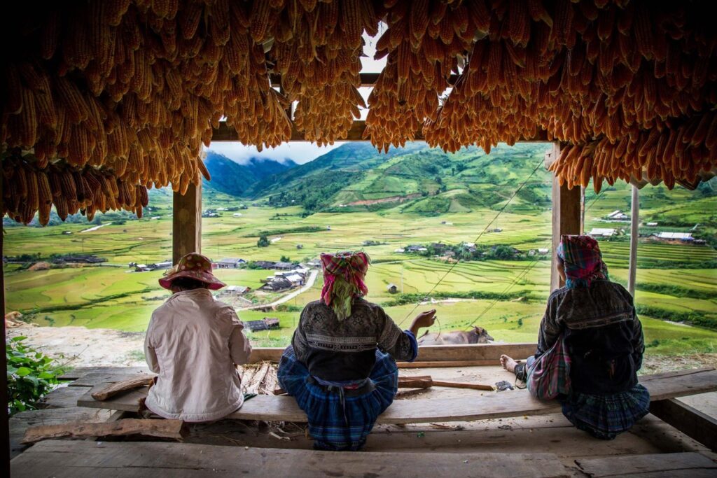 Mu Cang Chai