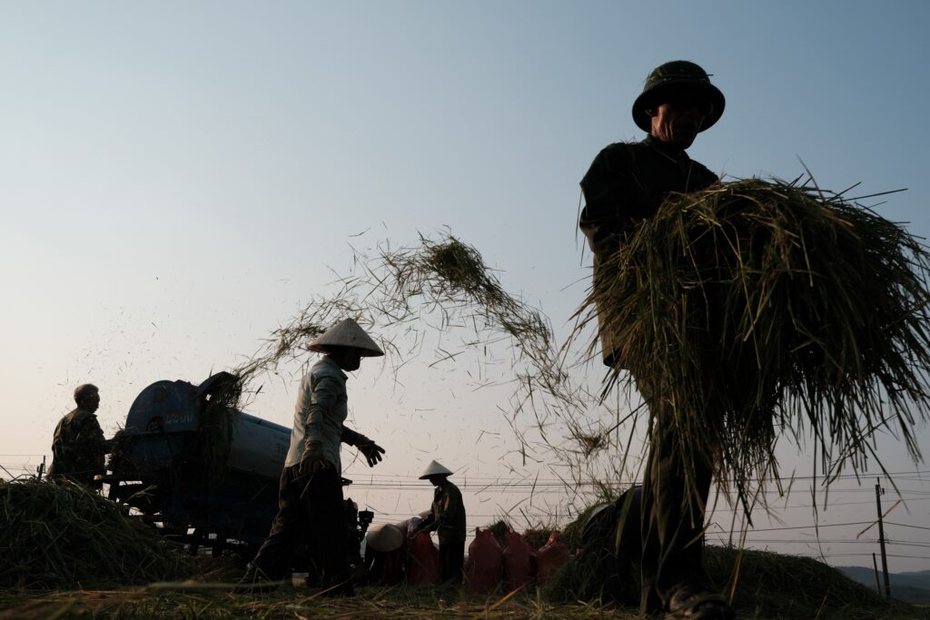 1925c9f3 3185 4dc4 b8af d20e6f9de816 - Discover Quang Binh Province Vietnam: 5 Hidden Gems In The Central Coastal Region