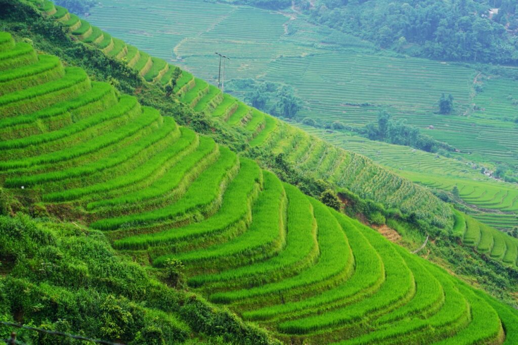 DSC01539 01 - Luke Neville