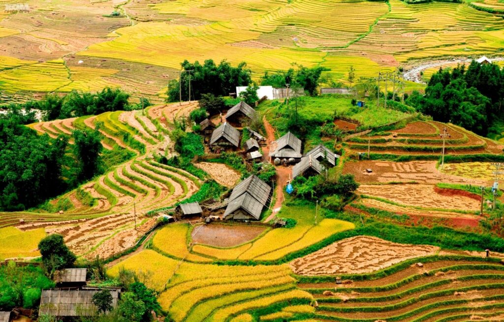 Sapa Vietnam Attractions: Discover The Lush Landscapes & Cultural Treasures Of Must-Visit Sights 25 VNO TAPHIN3 1 - Sapa Vietnam Attractions: Discover The Lush Landscapes & Cultural Treasures Of Must-Visit Sights
