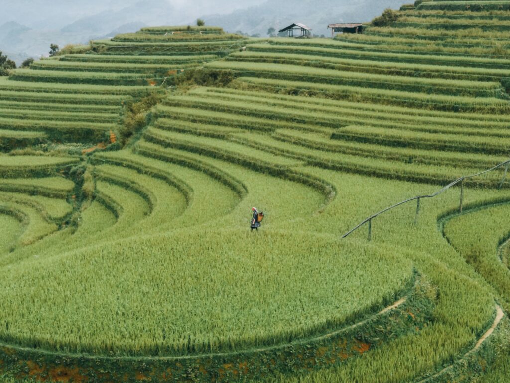 best time to travel to north vietnam