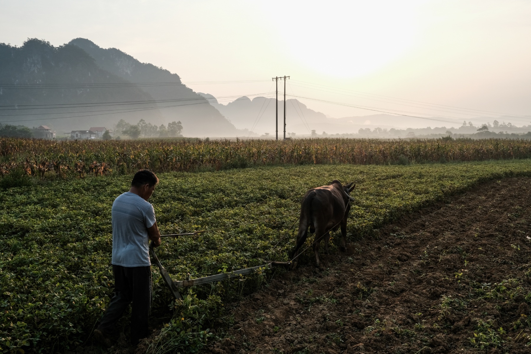 c8e89240 d228 469b ba57 c22ee24ce489 - Things To Do In Phong Nha