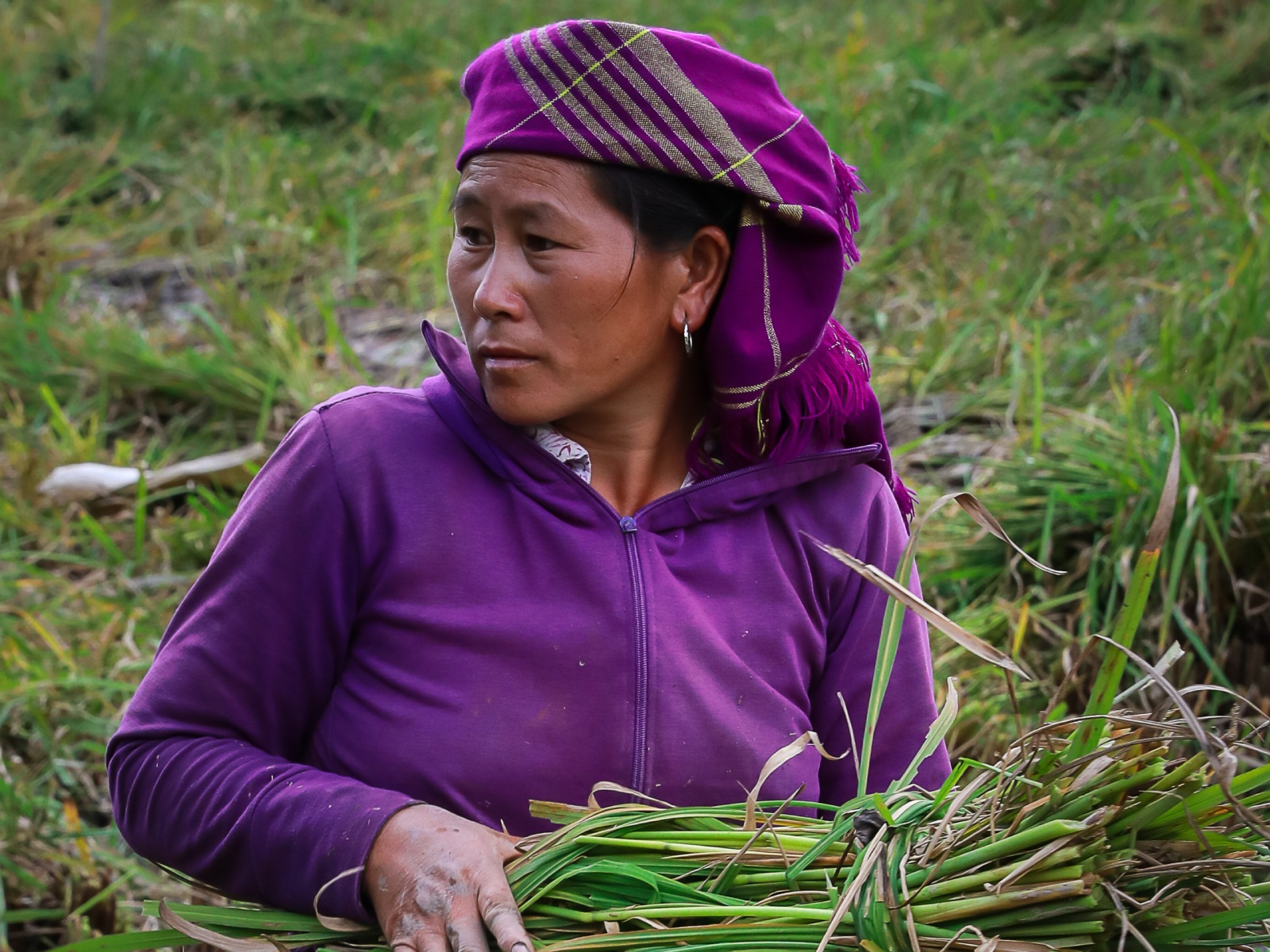 Ethnic Minorities North Vietnam: A Cultural Journey