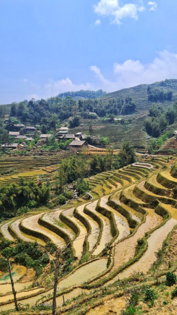 luke4 - Luke Neville