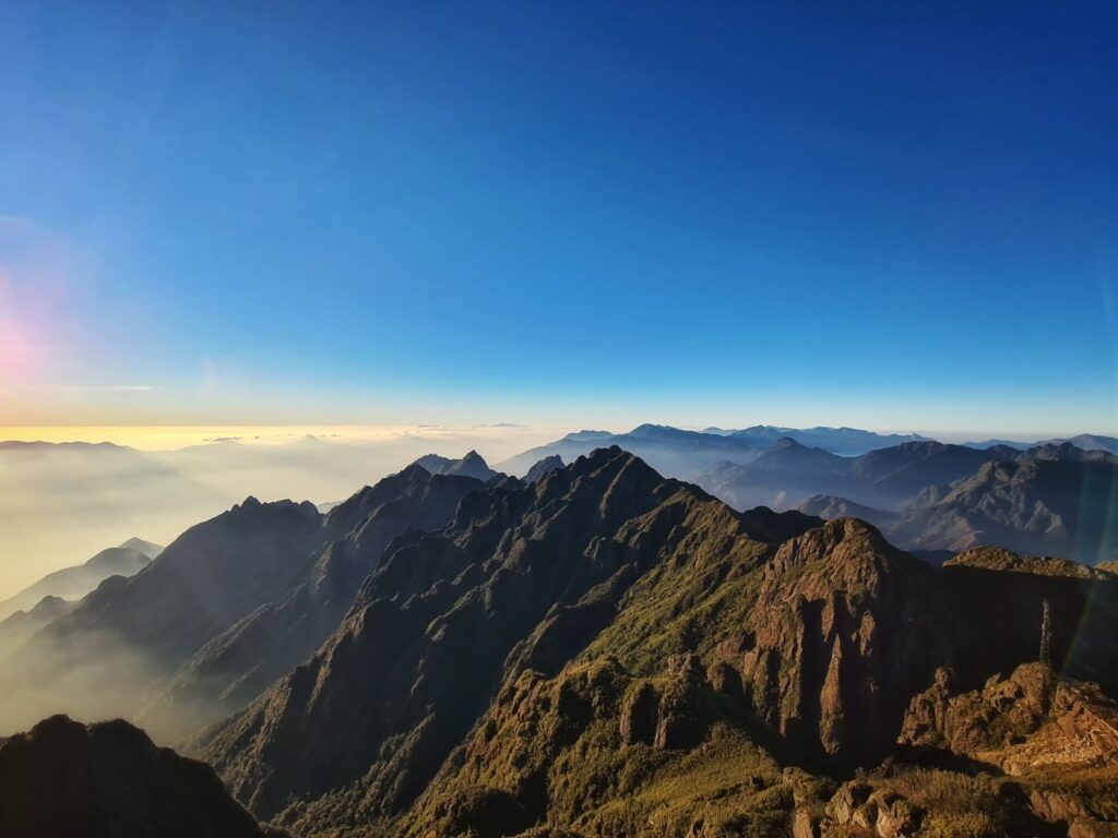 luke8 - Luke Neville