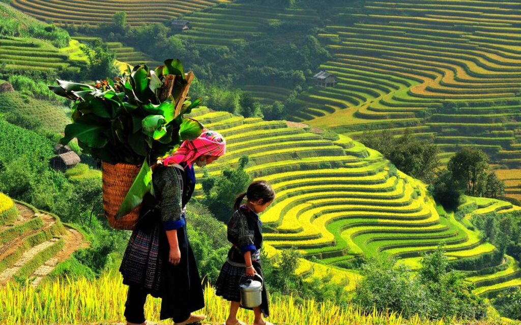 Sapa Vietnam Attractions: Discover The Lush Landscapes & Cultural Treasures Of Must-Visit Sights 18 ta phin village 02 1682131568 - Sapa Vietnam Attractions: Discover The Lush Landscapes & Cultural Treasures Of Must-Visit Sights