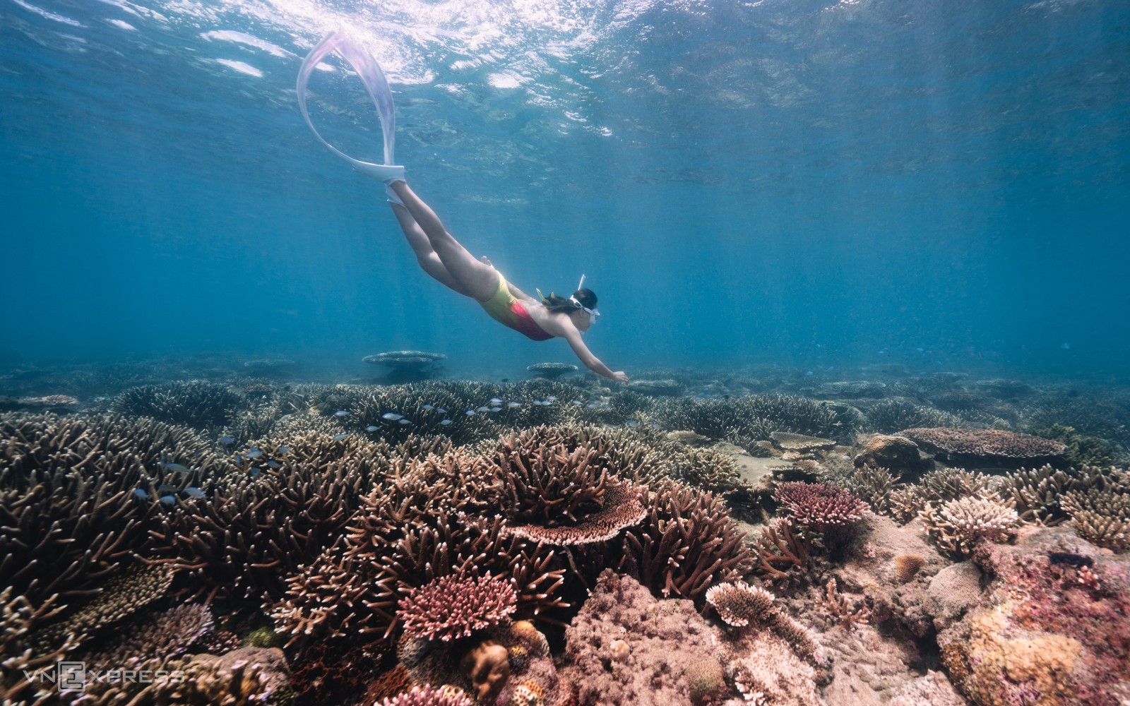 Con Dao 4738 1648708510 8192 1 7061 5148 165672702 - Things To Do In Con Dao