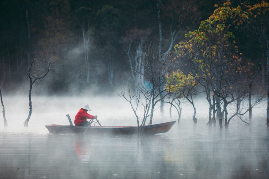 Central Vietnam Guide: 7 Must-Visit Destinations Await! 17 Tia River one of most cinematic places in Da Lat. Photo by Do Phan Anh - Central Vietnam Guide: 7 Must-Visit Destinations Await!