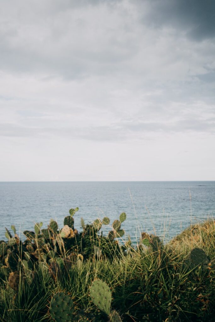 Quy Nhon Beach Escapes: Unwinding on Tranquil Shores 4 quy nhon beach8 - Quy Nhon Beach Escapes: Unwinding on Tranquil Shores