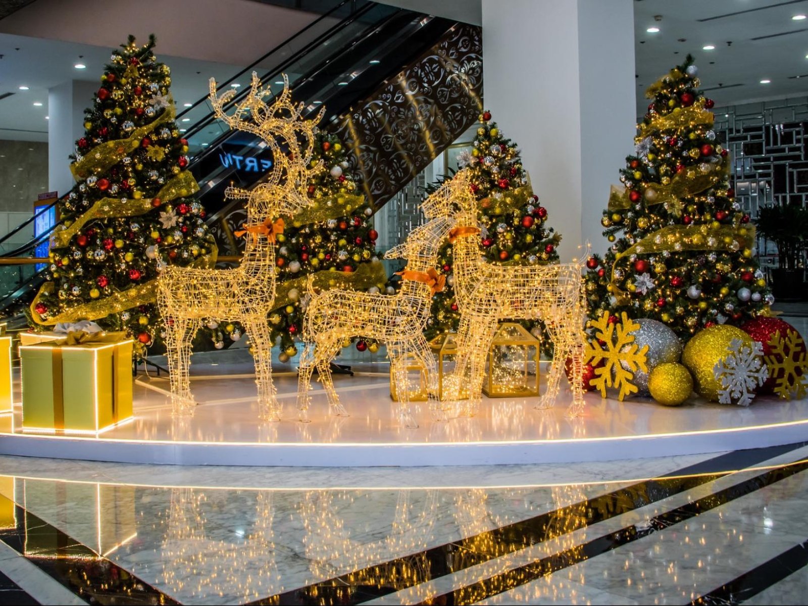 vietnam christmas gift