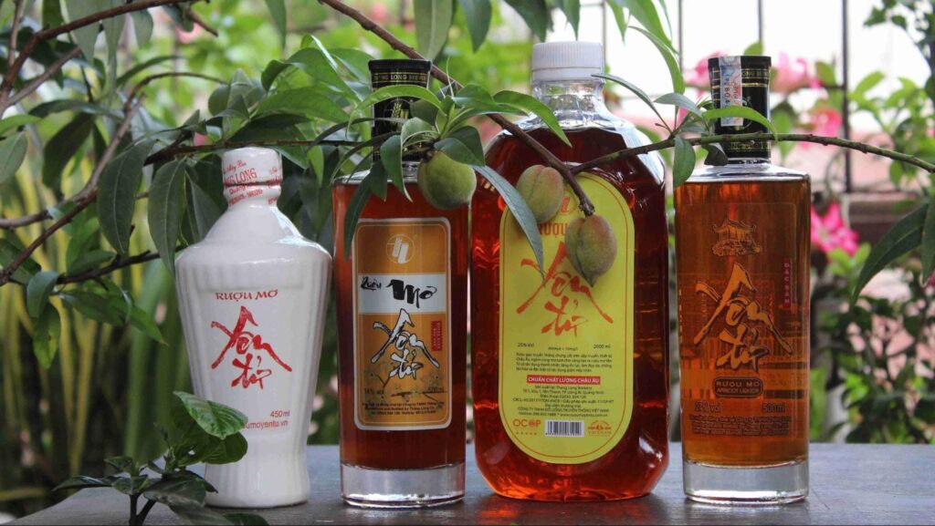 vietnam christmas gift 14 - Christmas Shopping Made Easy: Top Local Picks for Vietnam Christmas Gifts!