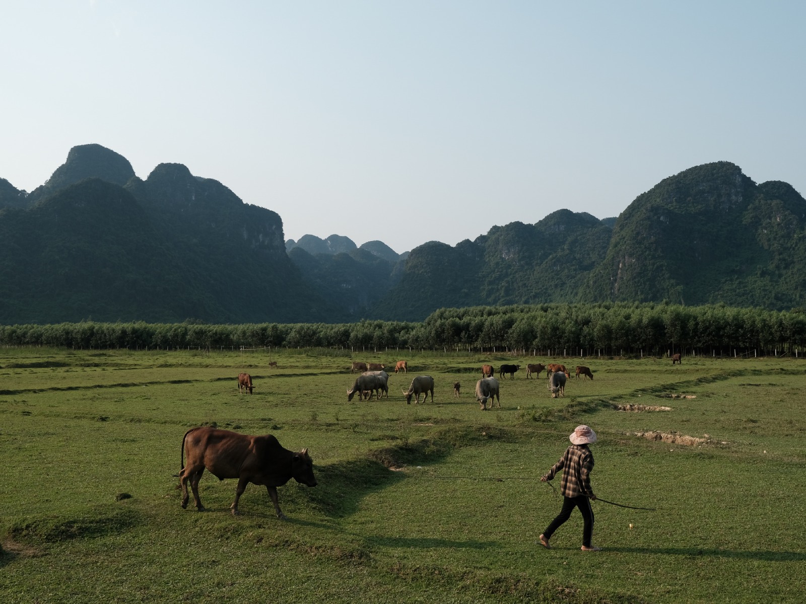 Phong Nha: How to Get There is Part of Your Adventure