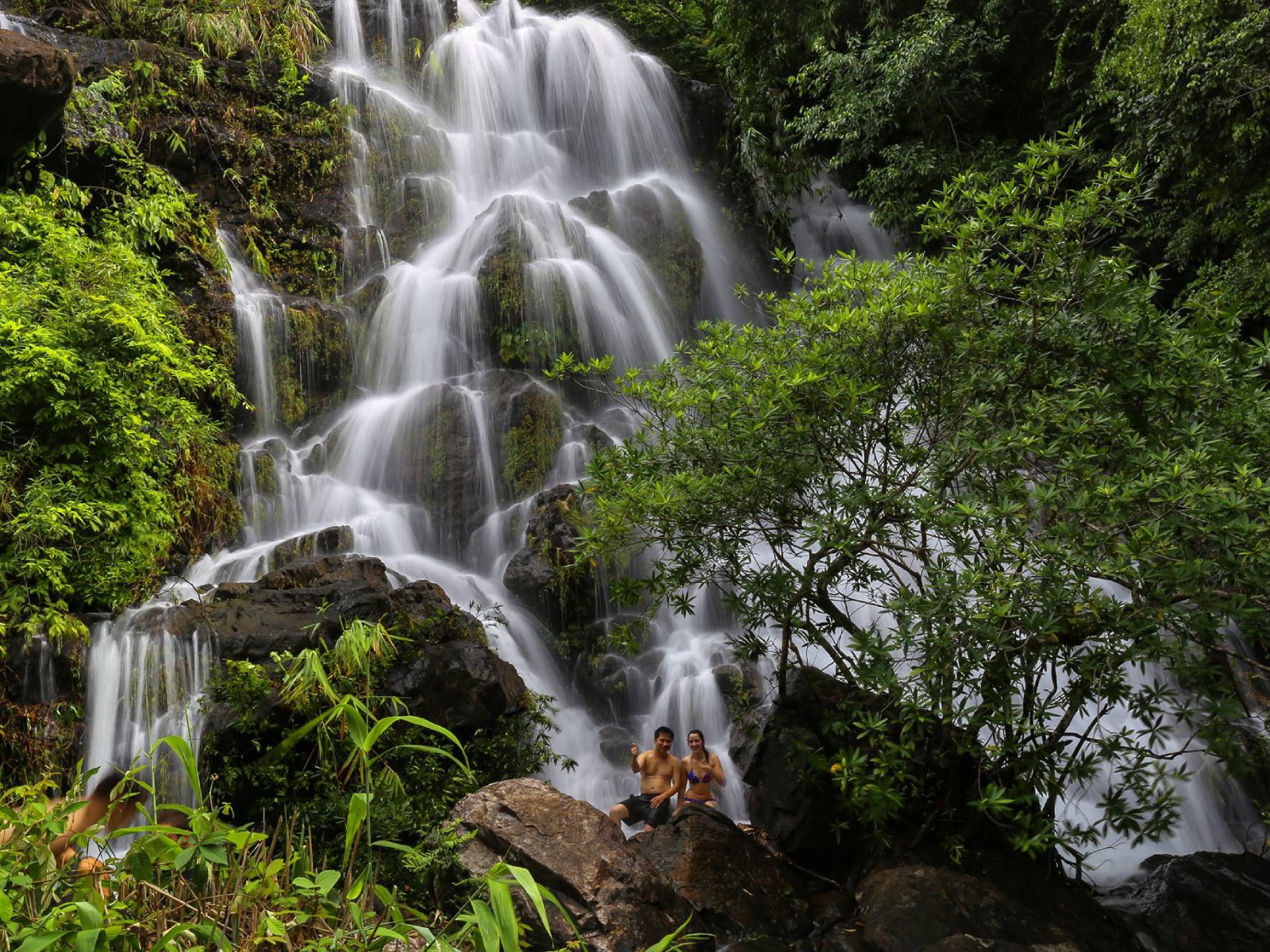 Phong Nha Botanic Garden 1 - Things To Do In Phong Nha