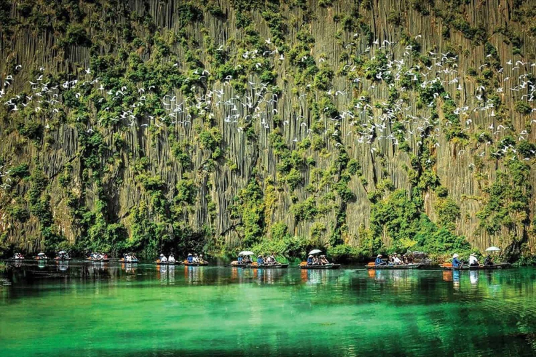 Van Long Nature Reserve Featured - Things To Do In Ninh Binh