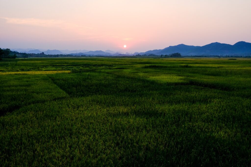 b1a3aa6f 5858 49de b927 e1acc77b7be7 - Hanoi to Hoi An: Ultimate Travel Guide for a Memorable Journey