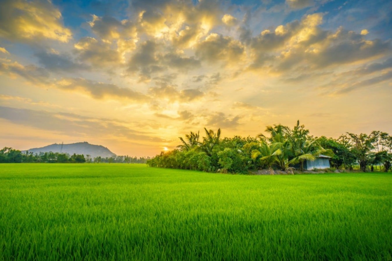 nui sam 2 - Things To Do In Mekong Delta