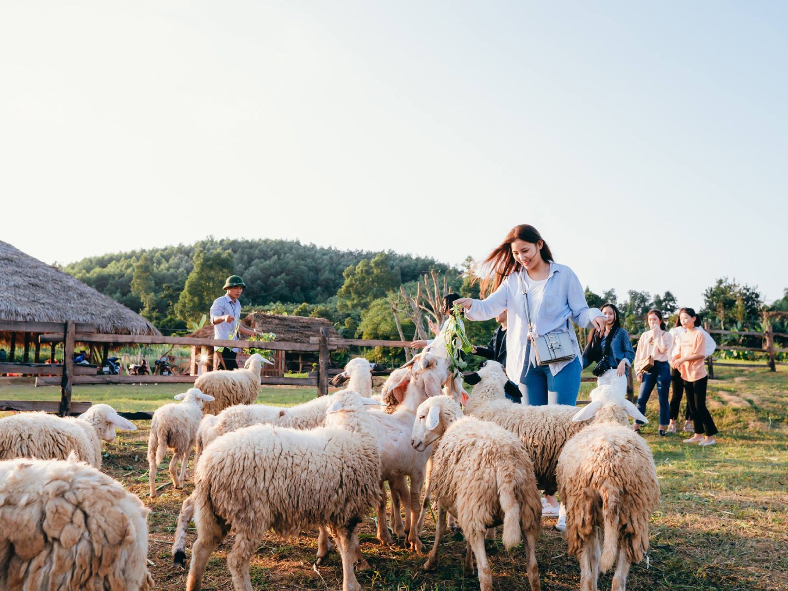 soi farm quang binh - Things To Do In Phong Nha