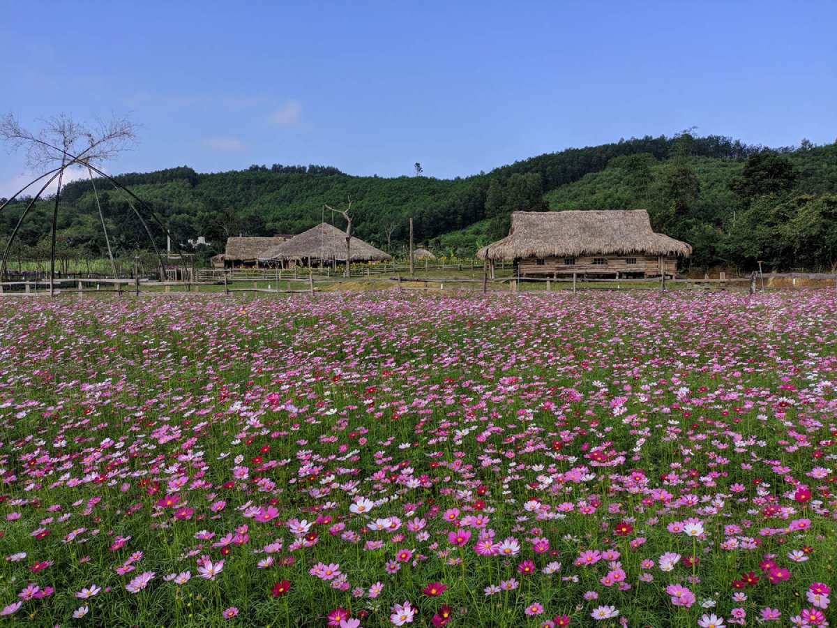 song ao tung chao tai dong soi farm quang binh 2 1 - Things To Do In Phong Nha
