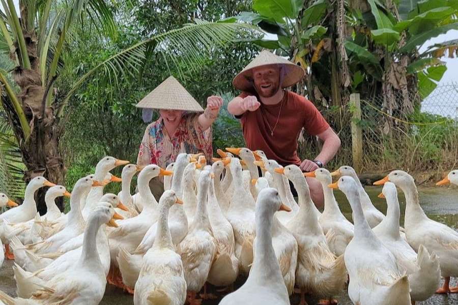 the duck stop phong nha culture pham travel 30 - Things To Do In Phong Nha