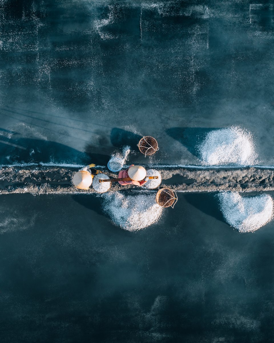 Tuyet Diem Phu Yen bento - Arranging a Flight To Vietnam