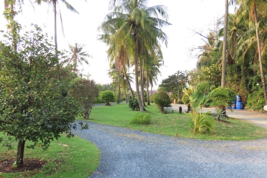 binh quoi park4 - Hiking In Ho Chi Minh: From City Parks To Mountainous Wonder