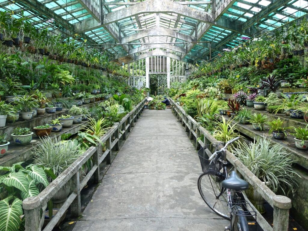 hikinginhcm2 - Hiking In Ho Chi Minh: From City Parks To Mountainous Wonder