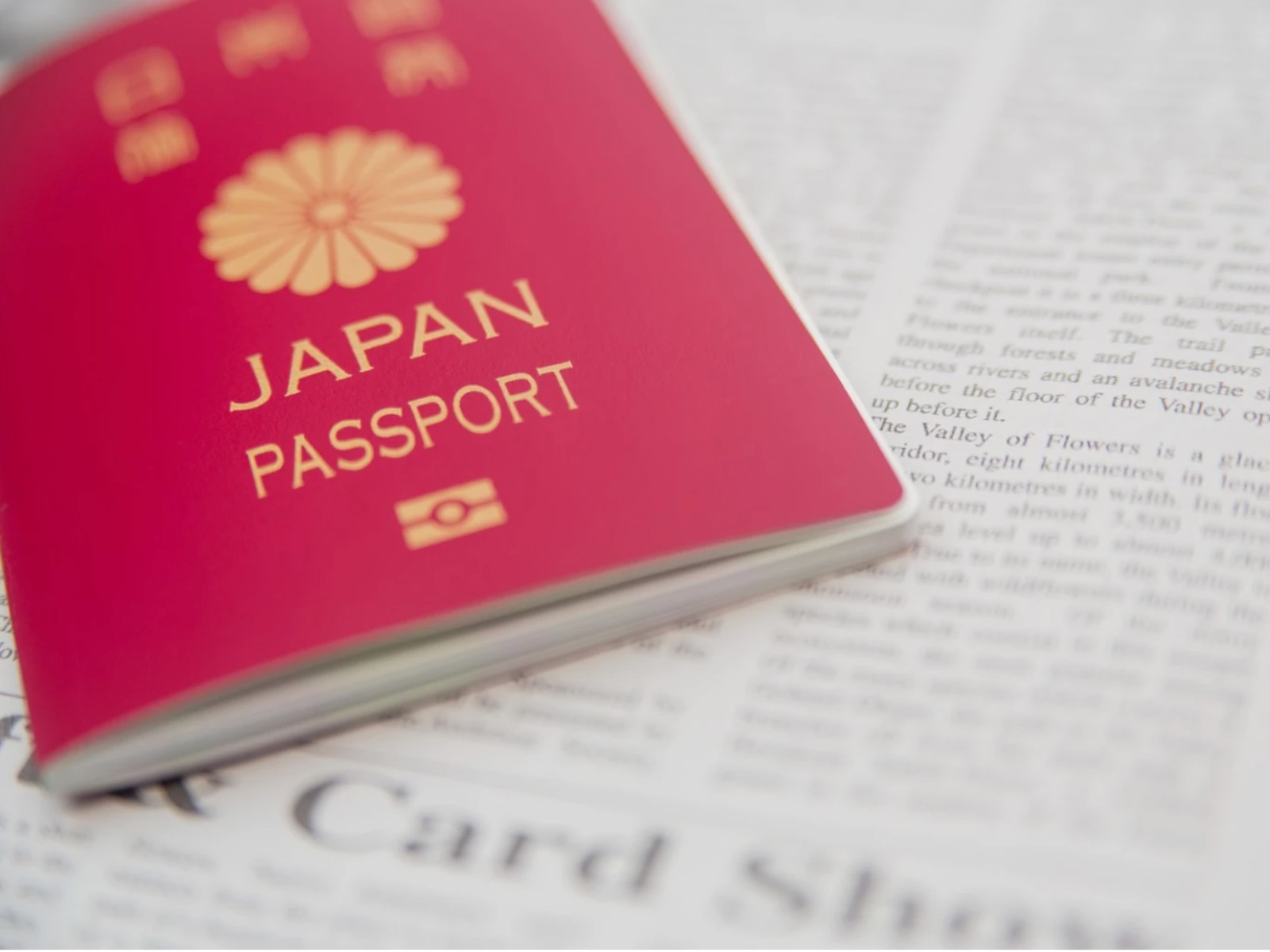 Vietnam Visa for Japanese