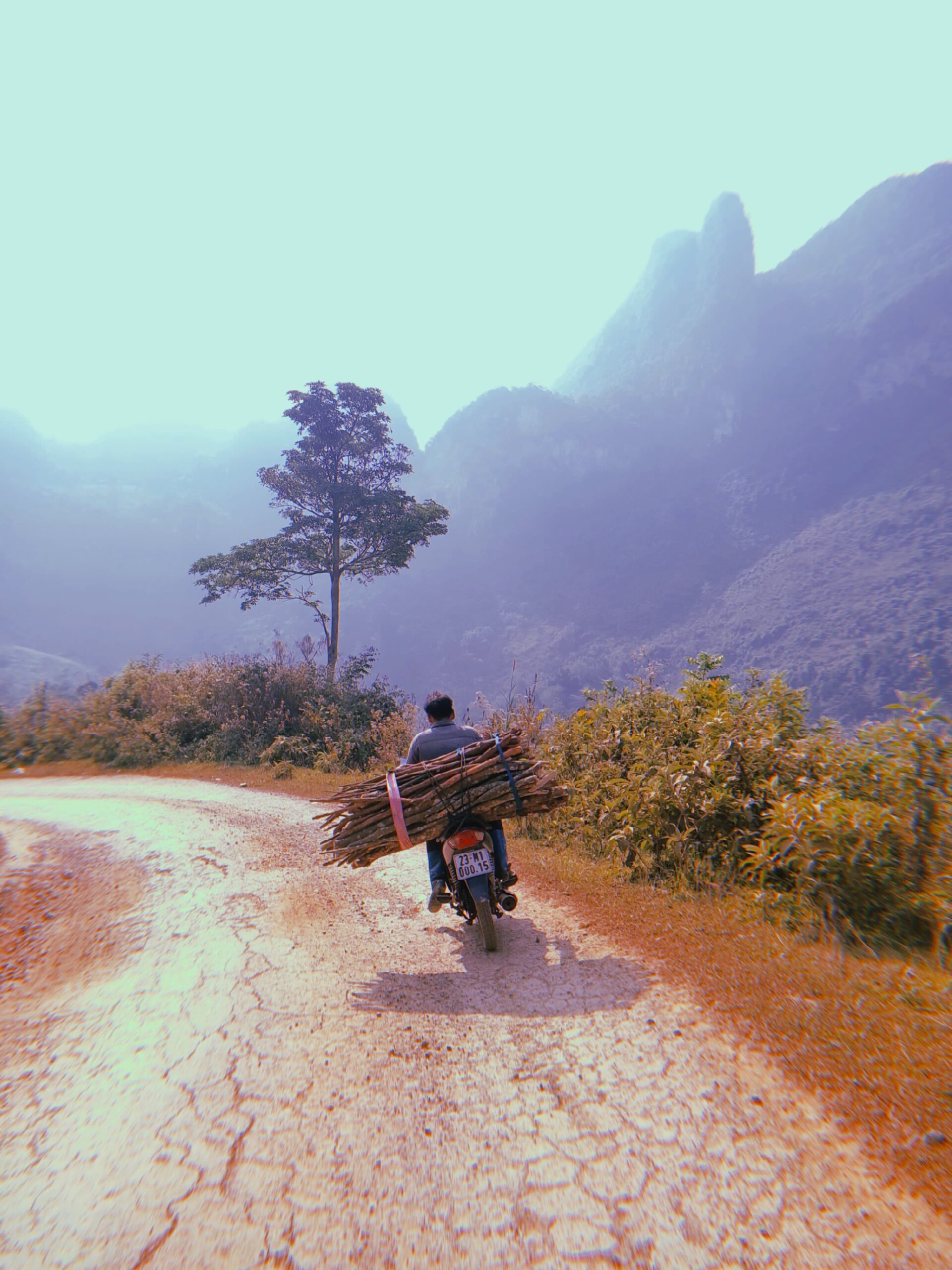 Culture & Local Life