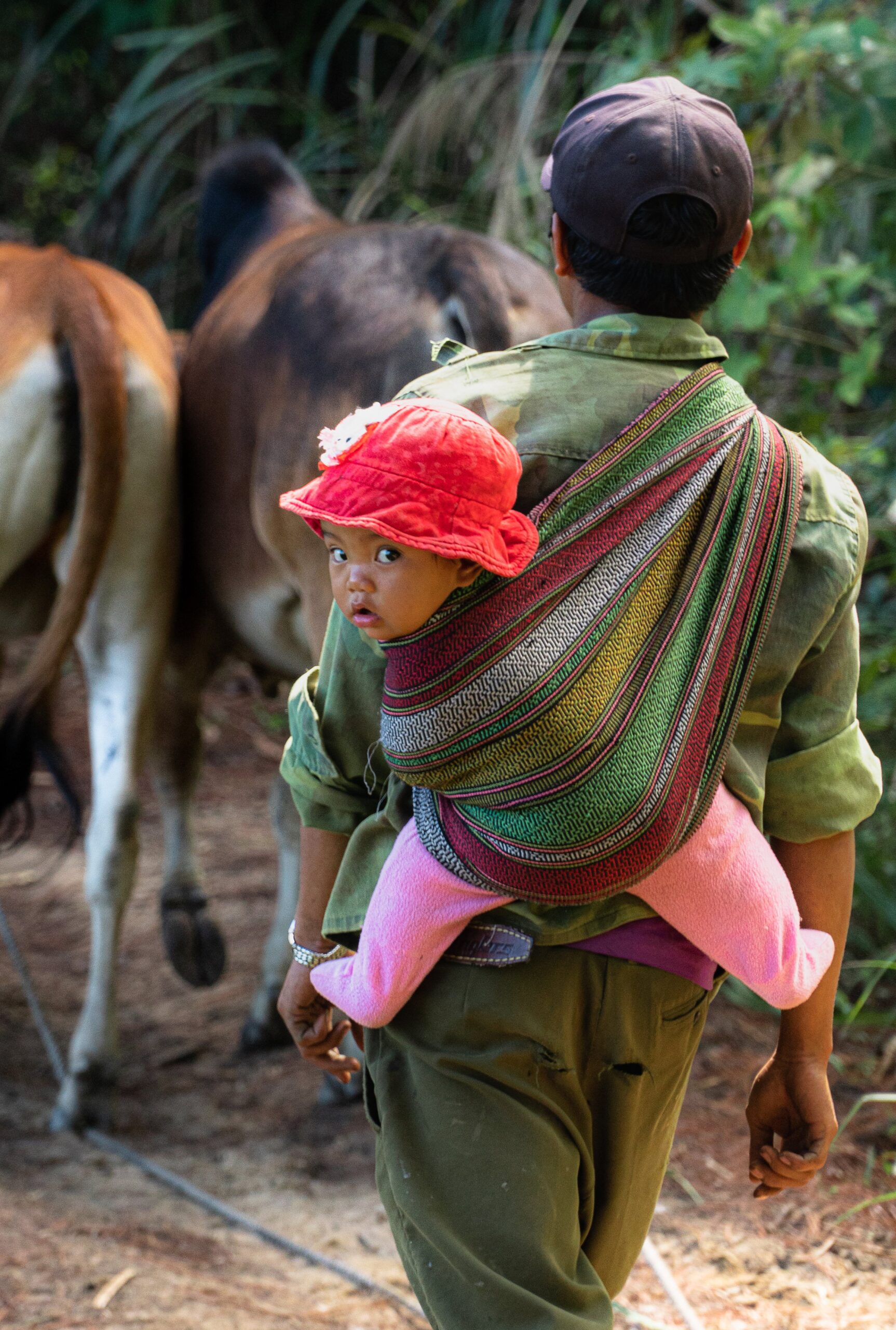 Culture & Local Life