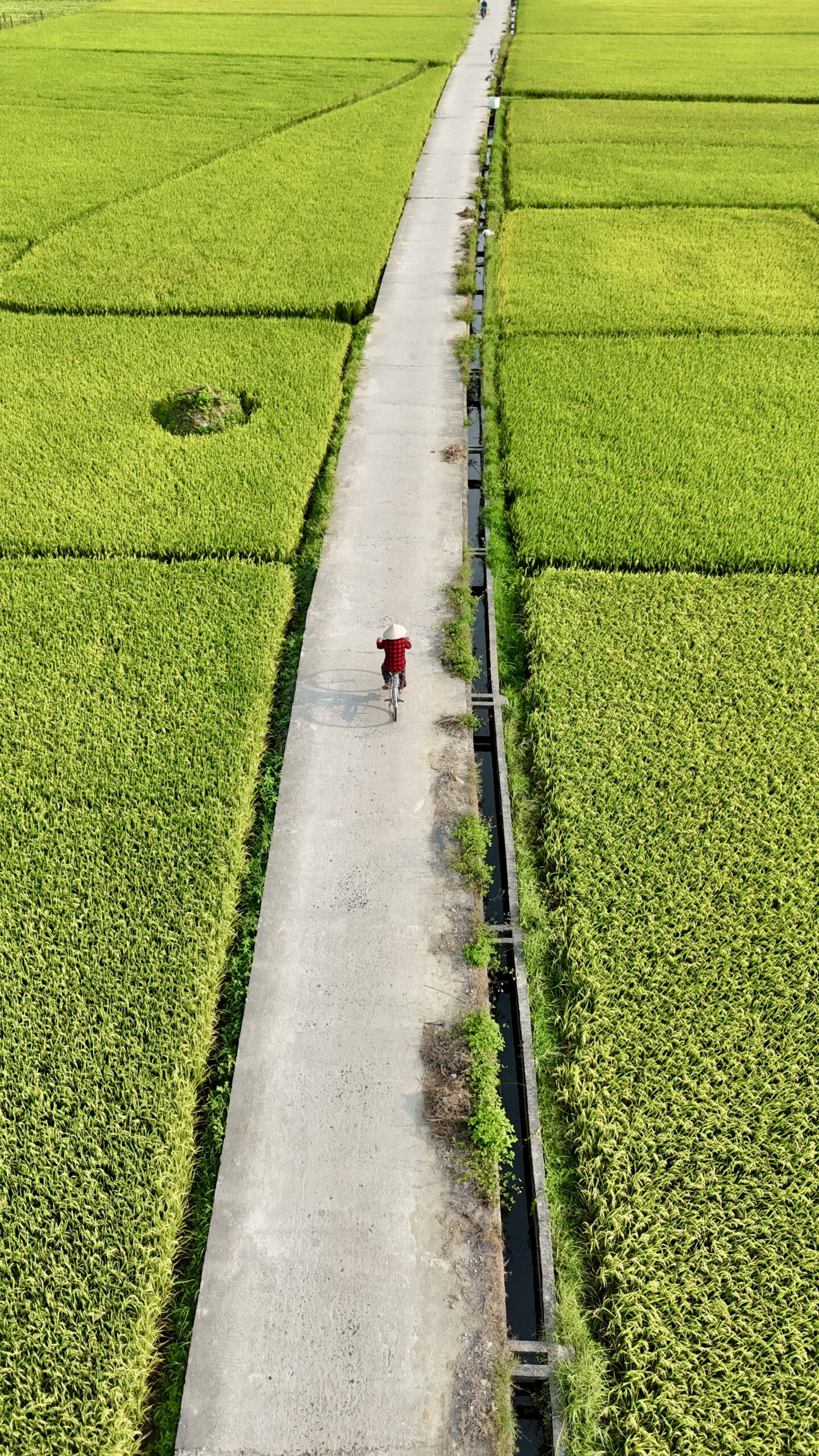 Culture & Local Life