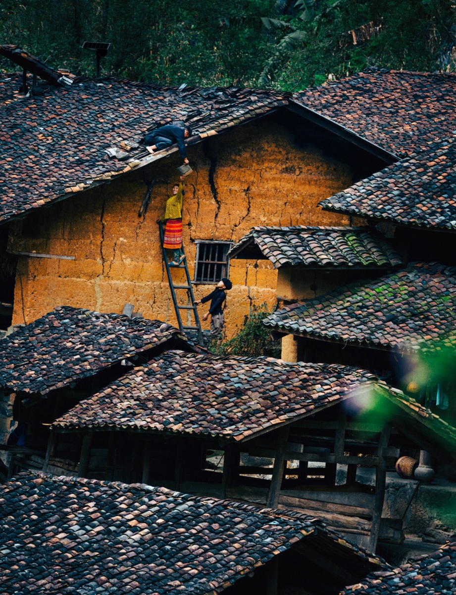 Architecture & Landscape