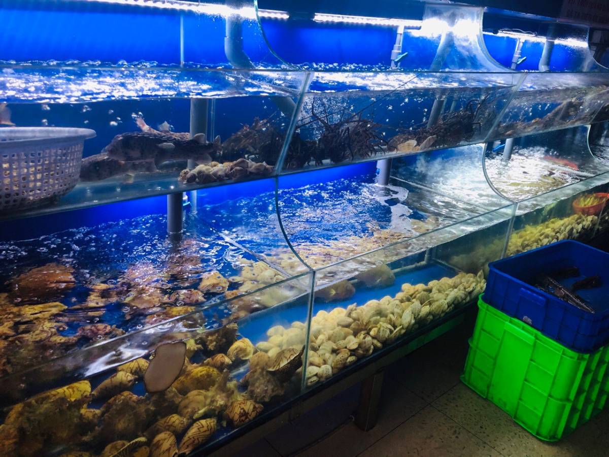 Seafood in Cho Oc Hai Nam Seafood Restaurant