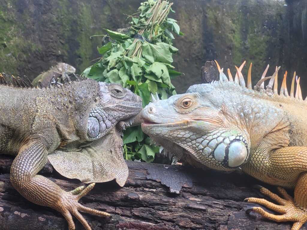 things to do in saigon with kids