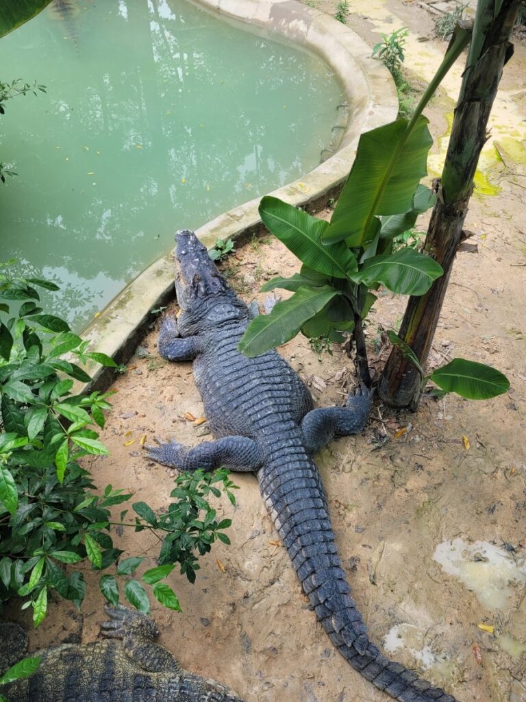 kids friendly activities in saigon