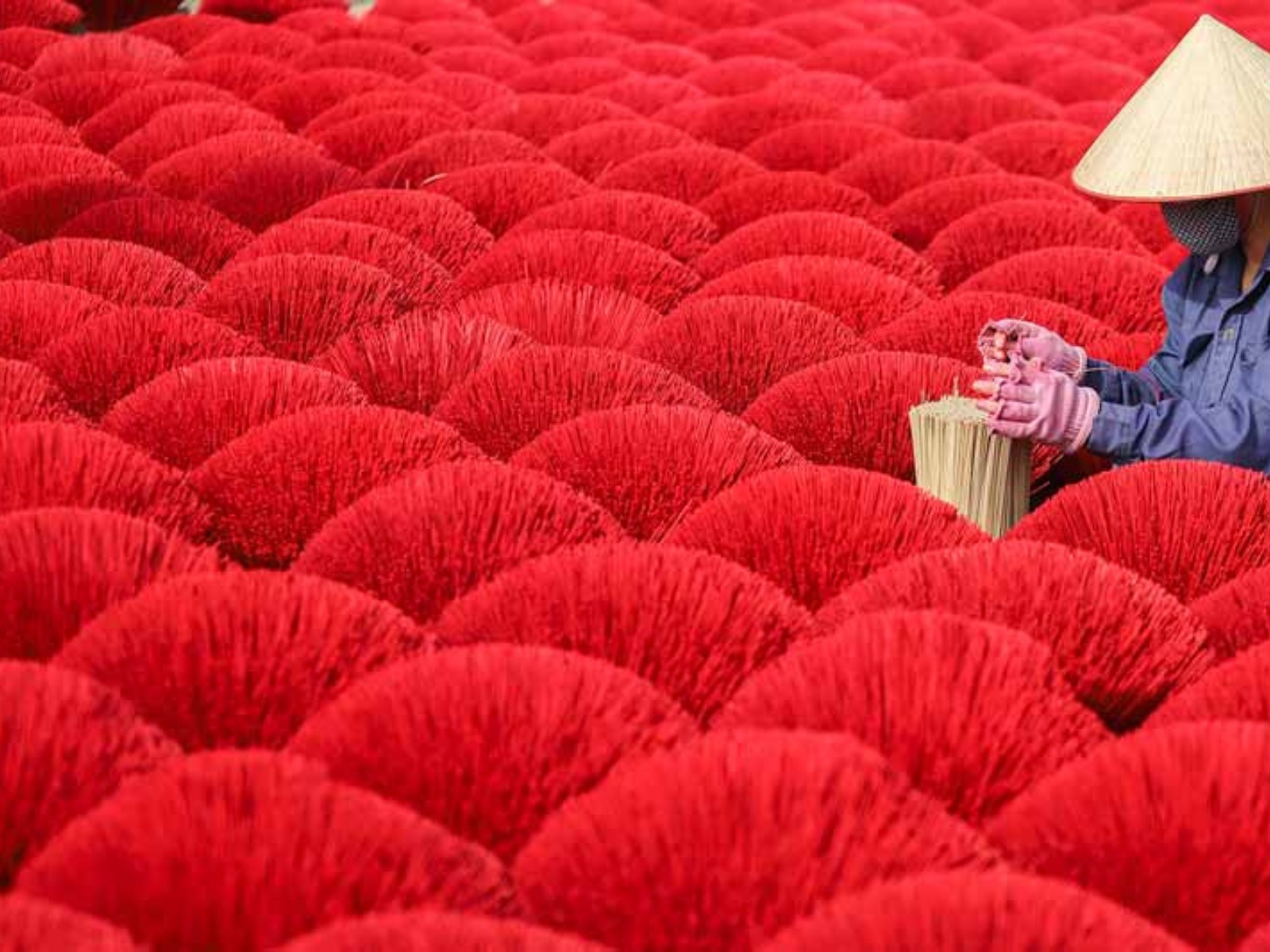 Ultimate Quang Phu Cau Photography Experience