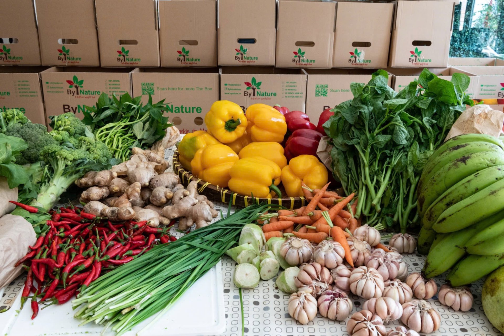 image3 - I Thought Organic Just Meant “Clean” - Until I Learned This