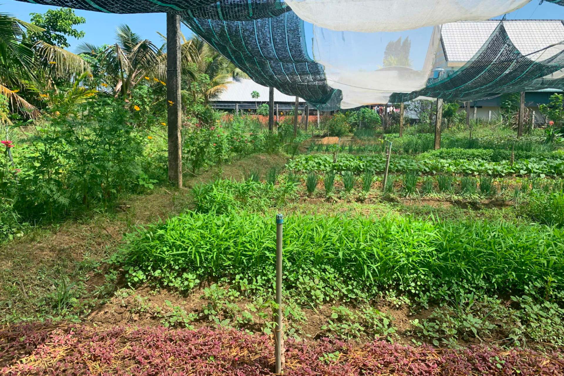 image5 - I Thought Organic Just Meant “Clean” - Until I Learned This