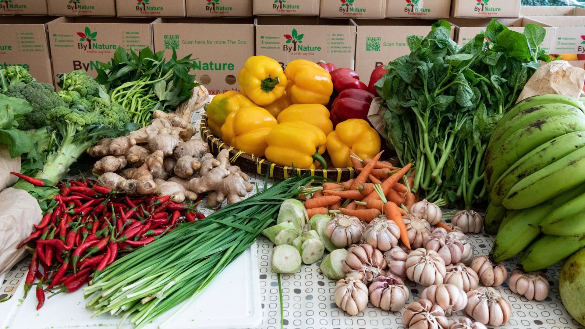 I Thought Organic Just Meant “Clean” – Until I Learned This